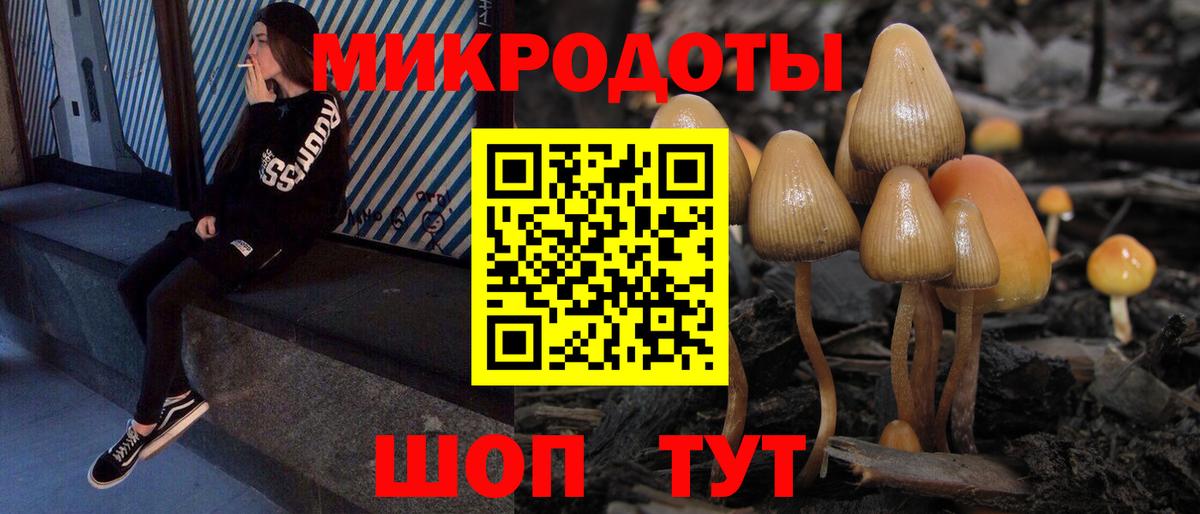 Псков  Галлюциногенные грибы Cubensis  Вход с VPN 